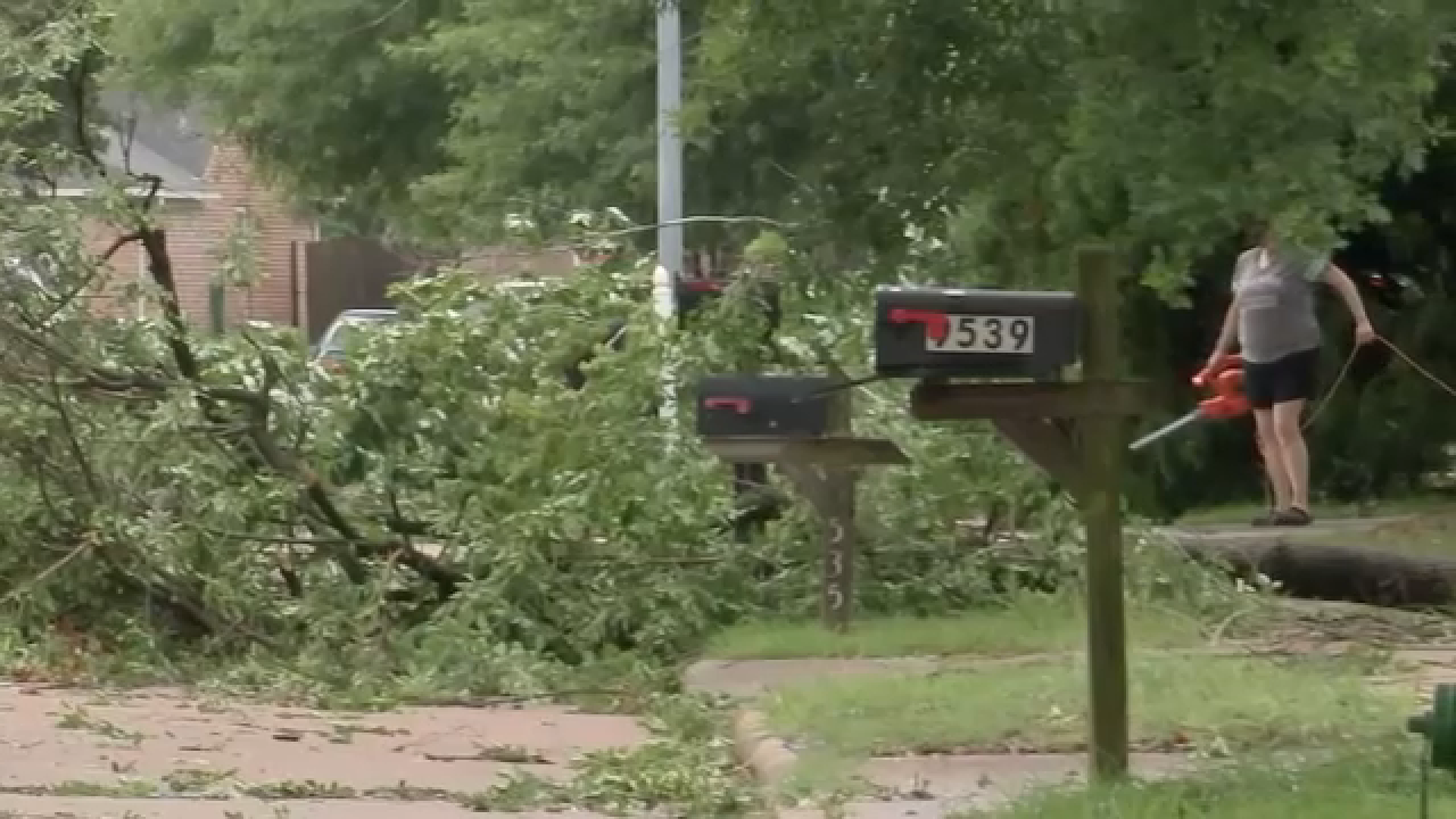 Large branches downed, cleanup underway after strong thunderstorms hit northwest Harris County