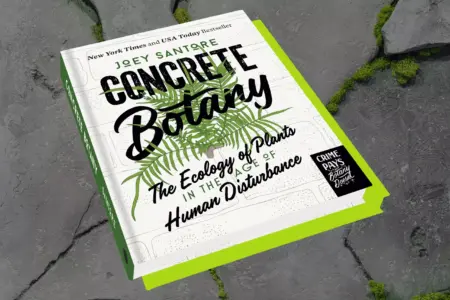 ‘Concrete Botany’ aims to open our eyes to the plants that grow in the margins